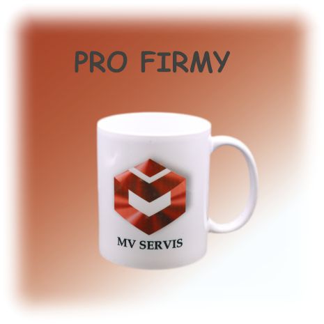 firemní