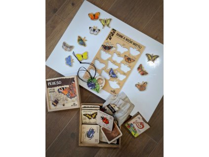 Sada k zapůjčení - Hmyz, motýli