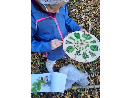 Zážitkový program pro třídu v lese