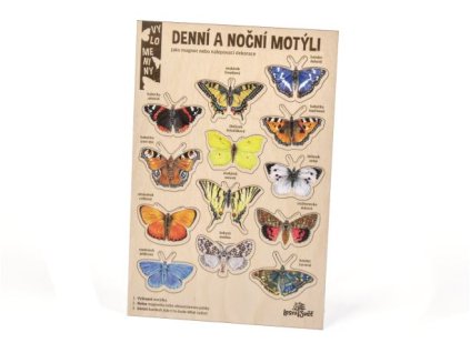 velke vylomeniny nocni a denni motyli
