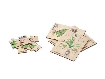 sada puzzle rostliny (1)