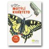 motyli kvarteto 01 f16833