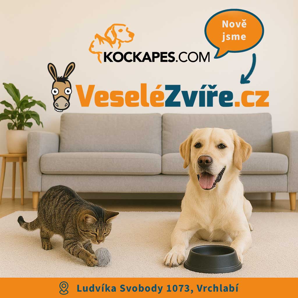 reBRAND_V4_1