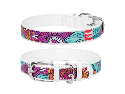 WAUDOG obojek kožený Summer bílý (46-60cm/3,5cm)