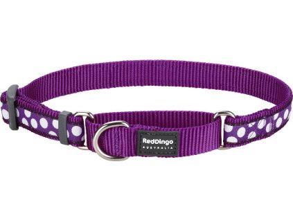 Red Dingo obojek polostahovací – White Spots on Purple – 25 mm x 41-62 cm