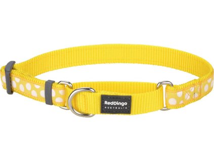 Red Dingo obojek polostahovací – White Spots on Yellow – 25 mm x 41-62 cm