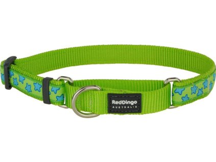 Red Dingo obojek polostahovací – Stars Turquoise – 15 mm x 26-40 cm