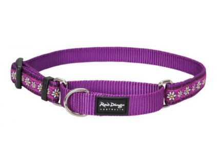Red Dingo obojek polostahovací – Daisy Chain Purple – 15 mm x 26-40 cm