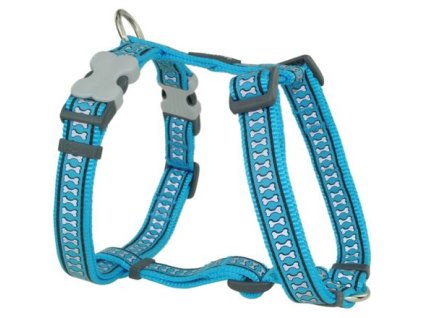 Red Dingo postroj reflexní – Bones Turquoise – 20 mm x 45-66 cm