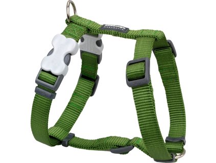 Red Dingo postroj – Green – 25 mm x 71-113 cm