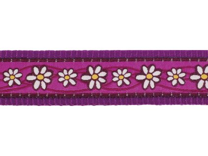 Red Dingo vodítko přepínací – Daisy Chain Purple – 25 mm x 2 m