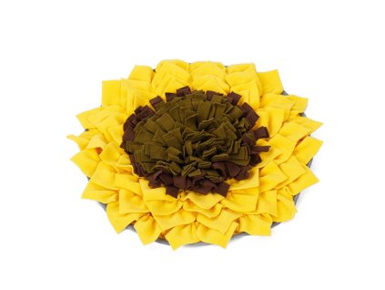 rd pd50032 ye u doglemi slunecnice 02