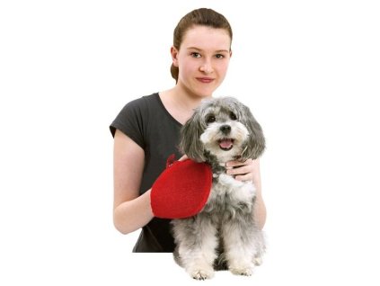 f2fa3a0c 566c 46a5 b493 7fe7e3ef0f86 305208