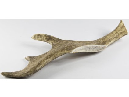 7ed8b272 b9ef 4b0a a31f 153d27a381f4 353413