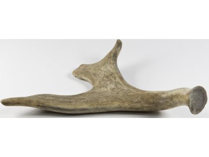 168e61d0 7d73 4bb8 9567 fe36c2808cb4 353399