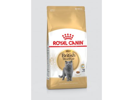 Royal Canin British Shorthair 10 kg