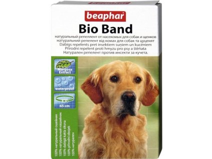 e3d8fccb 7c0d 45b5 a2a0 e0db5cd8b127 319364