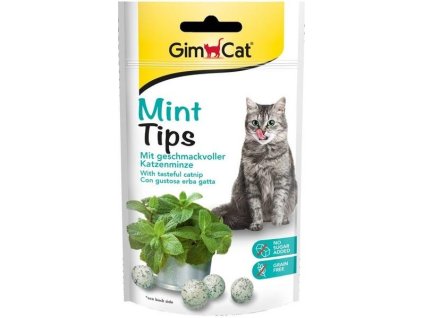 GimCat CAT MINTIPS 40g