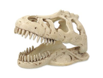Dekorace Repti Planet T-REX lebka 13,3x8,5x9cm