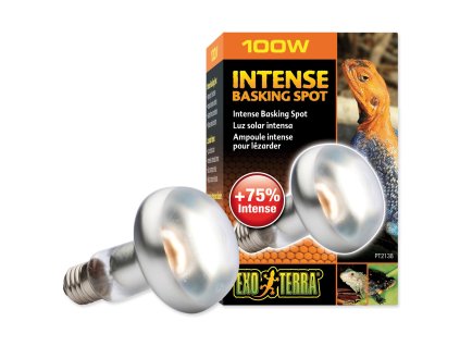 Žárovka Exo Terra Intense Basking Spot 100W