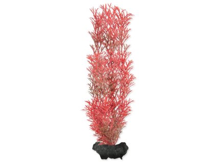 Dekorace Tetra Rostlina Foxtail Red M 23cm