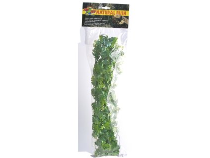Terarijní rostlina ZMD Amazonian Phyllo L
