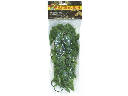 Terarijní rostlina ZMD Mexican Phyllo M