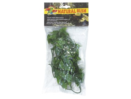 Terarijní rostlina Zoomed Mexican Phyllo S