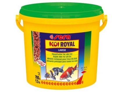 a6ac0c20 c52a 4a5b 9f15 c74205a5b9e8 300378