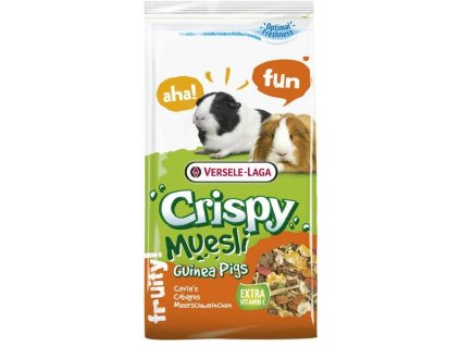 f573e517 f7fe 476d b1ef 4bc70aa645a8 347364