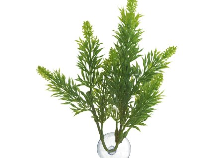 6854c2fd ce2d 4267 81a5 9ba27dbfb654 323678