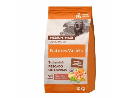 1c8d947b 9ed4 4d2b 80c3 9131baf02b3a