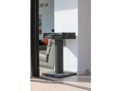 2ed999c9 bc98 4cc1 add1 3ef167bb05b3 341873