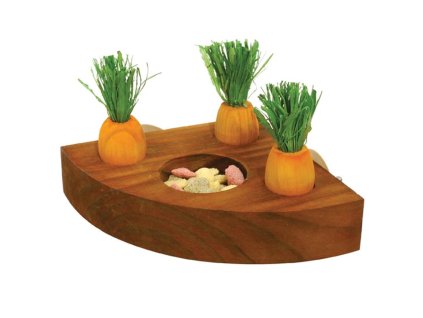 Hračka hlod. dřevo interaktivní - mrkve Rosewood 1 ks