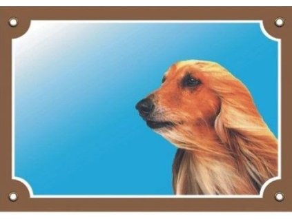 Barevná cedulka Pozor pes, Afghánský chrt