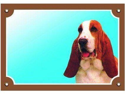 Barevná cedulka Pozor pes, Baset