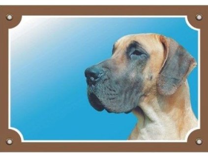 Barevná cedulka Pozor pes, Doga německá