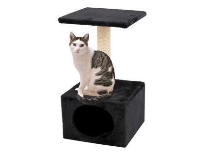 f230d552 7916 4ccc b4e1 bc718e568c1b 220705