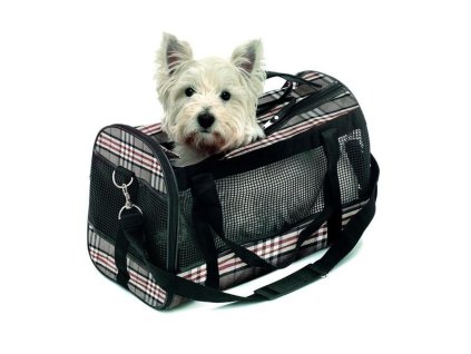 c1e8998b 3f3e 4351 92e4 d4fda9a425b1 222073