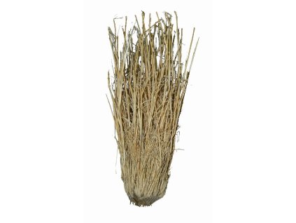 Lucky Reptile Grass Bushes 25 40 cm 210320252030332031