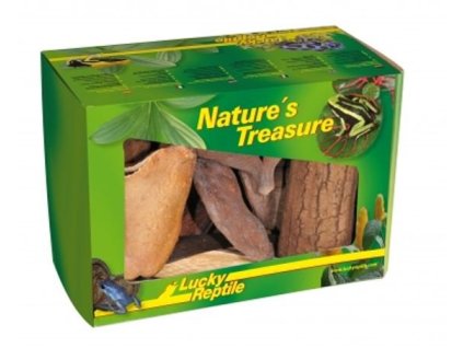 Lucky Reptile Nature s Treasure 1207202510301442642