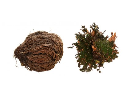 Lucky Reptile Rose of Jericho 50 g 2709202506301556468