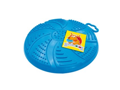 Frisbee Roger