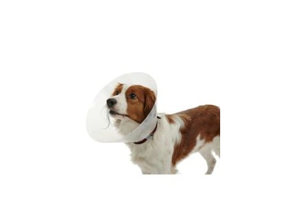 Límec ochranný BUSTER plastový Classic Collar 30cm