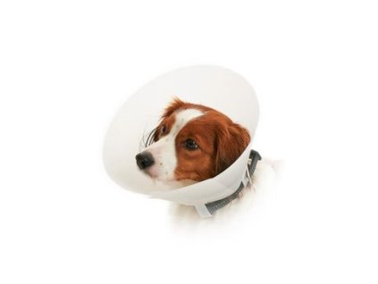 Límec ochranný BUSTER neprůhledný Classic Collar 7,5cm
