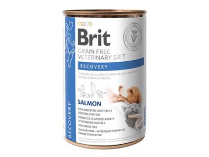 Brit VD Dog+Cat GF konz Recovery 400g