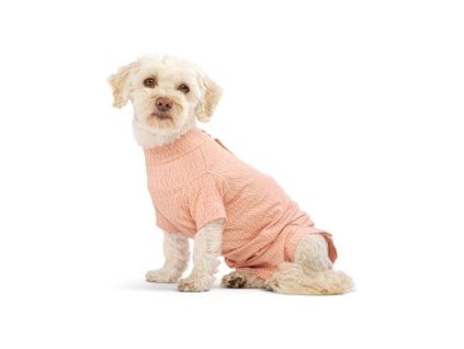 Obleček Body Suit Step'n Go Dog L oranžový BUSTER