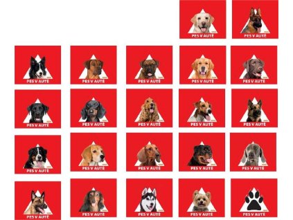 2866c236 b0c5 42f0 b967 3ecf1166ac09