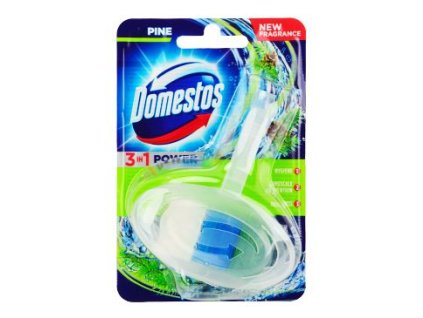Wc čistič Domestos blok Pine závěs 40g
