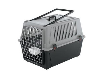 107fcc9a 079e 446e a0e8 457f07893043